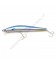 Blue Fin Tuna