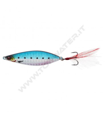 Sardine