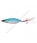Sardine