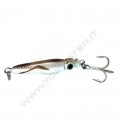 Bay Squid