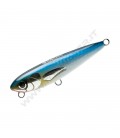 Saury