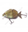 Annular Bream