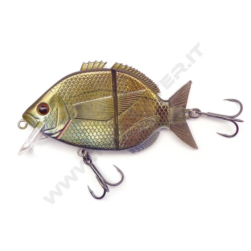 Fishus By Lurenzo Esparrall