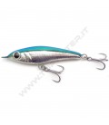 Saury