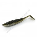 Alburno Shad