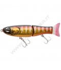 Magma Gill