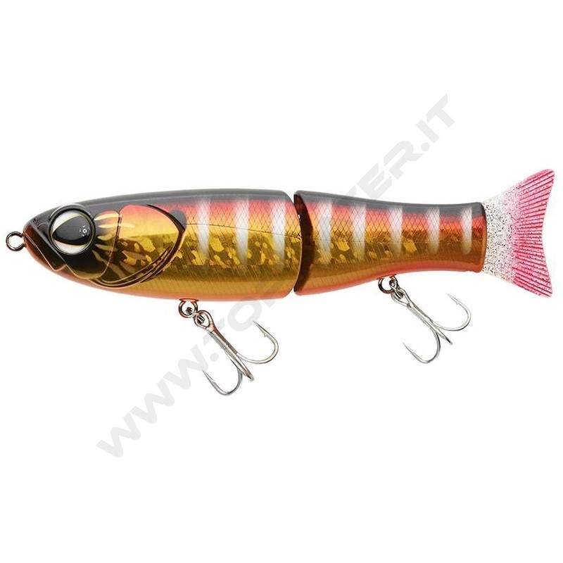 Sakura S-Shiner 170