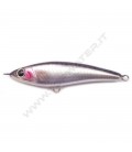 Anchovy