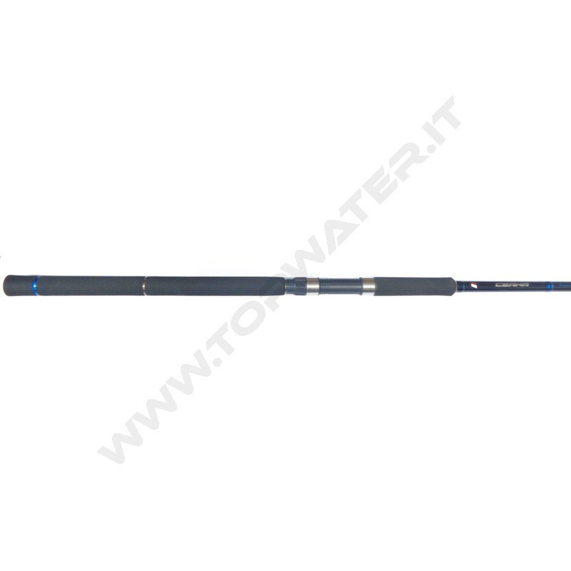Major Craft Ceana Shore Jigging