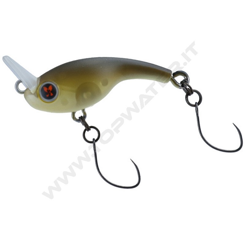 Daiwa Presso Rivecra