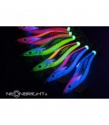 Yamashita Egi-OH Search Neon Bright