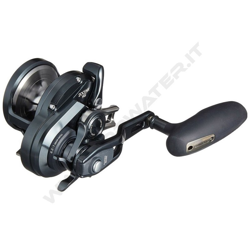 Shimano Ocea Jigger F Custom 2001NRHG