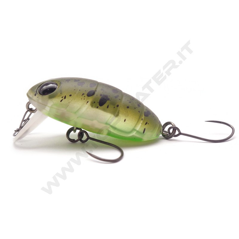 Nories Boss Pupa Shallow