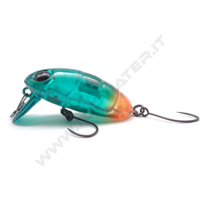 Nories Boss Pupa Shallow