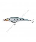 LS Sardine