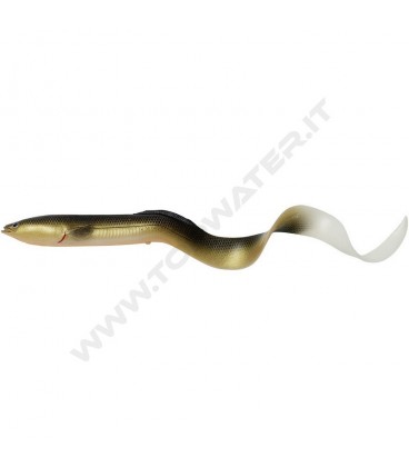 Dirty Eel
