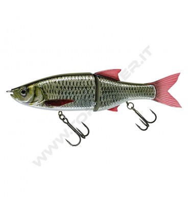 Live Carp