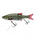 Live Carp