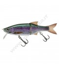 Live Rainbow Trout
