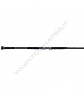 Shimano Beastmaster AX Catfish Spinning