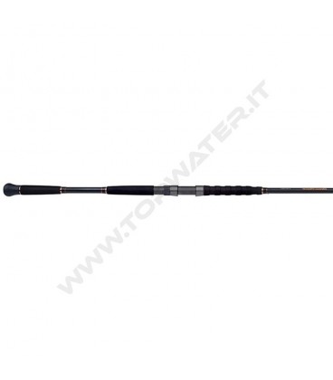 Shimano Beastmaster AX Catfish Spinning