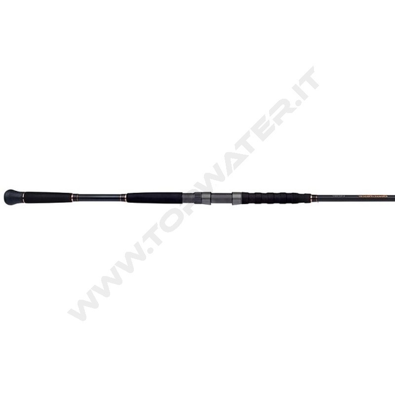 Shimano Beastmaster AX Catfish Spinning