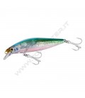 N Anchovy