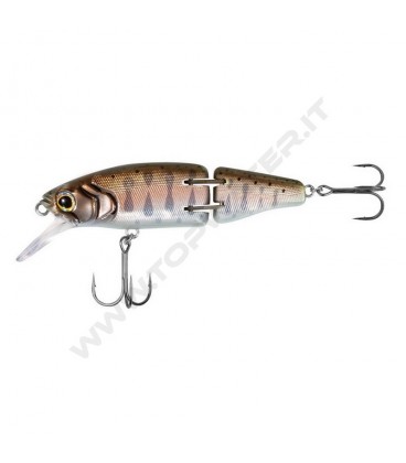 N Japan Trout