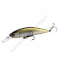 Brook Trout