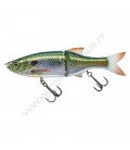 Live Blue Gill