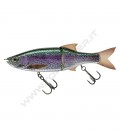 Live Rainbow Trout