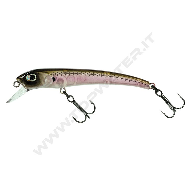 Molix Audace 65 Jerk Bait Minnow