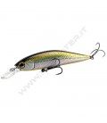 Brook Trout