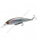 Sea Trout