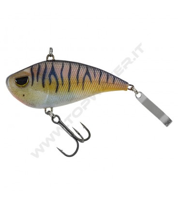Brown Cream Purple Tiger