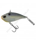 Blueback Herring