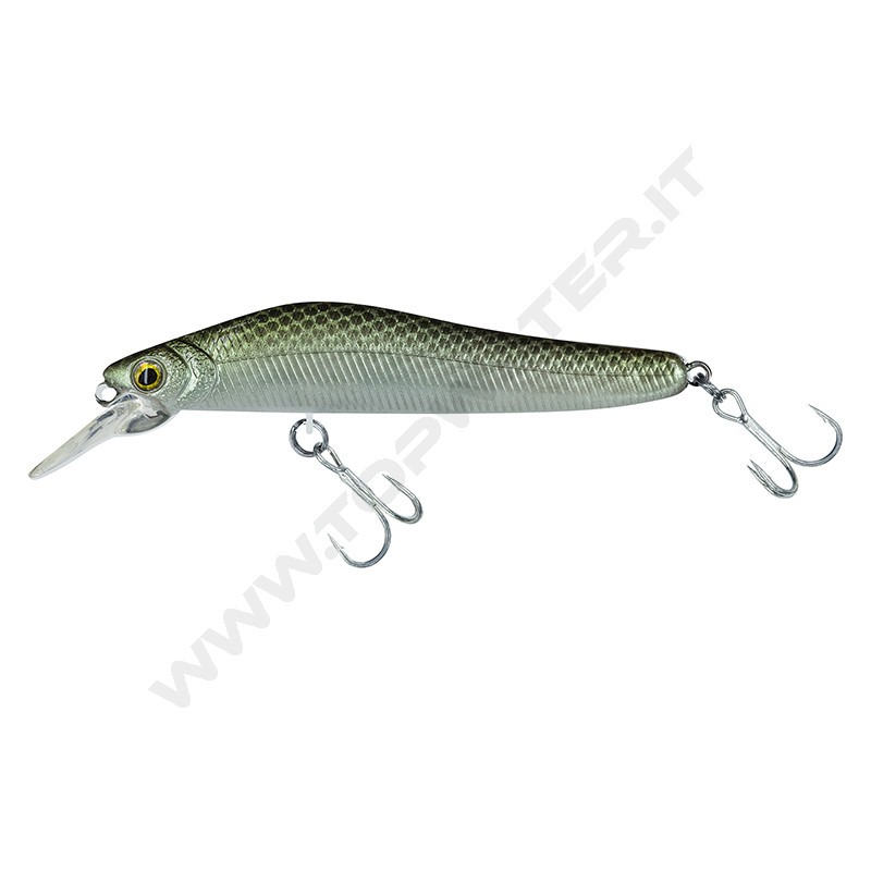Molix Jubar Smart