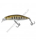 MX Brown Trout