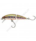 Iwana Trout