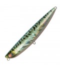 Mackerel