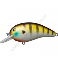 Pond Gill