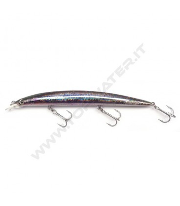 Anchovy