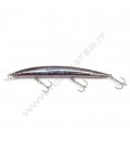 Anchovy