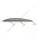 Mackerel
