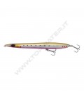 Sunset Sardine