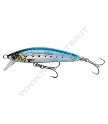 Ghost Sardine
