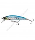 Ghost Sardine