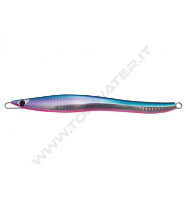 Blue Back Pink Belly