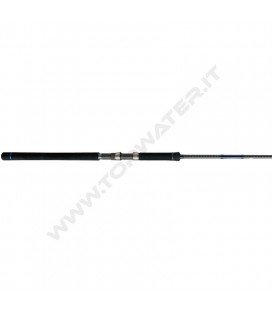 Atec Crazee Light Shore Jig