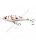 Koi Carp